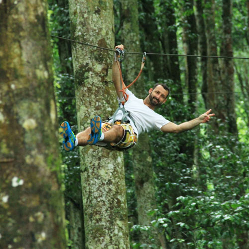 Fun in Treetop Adventure Park
